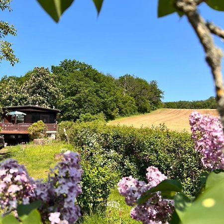 Ferienhaus Zittertal Neustadt Harz Haus I Villa Harztor Esterno foto