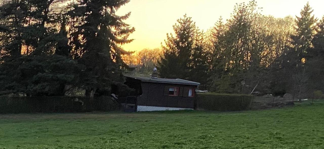 Ferienhaus Zittertal Neustadt Harz Haus I Villa Harztor Esterno foto