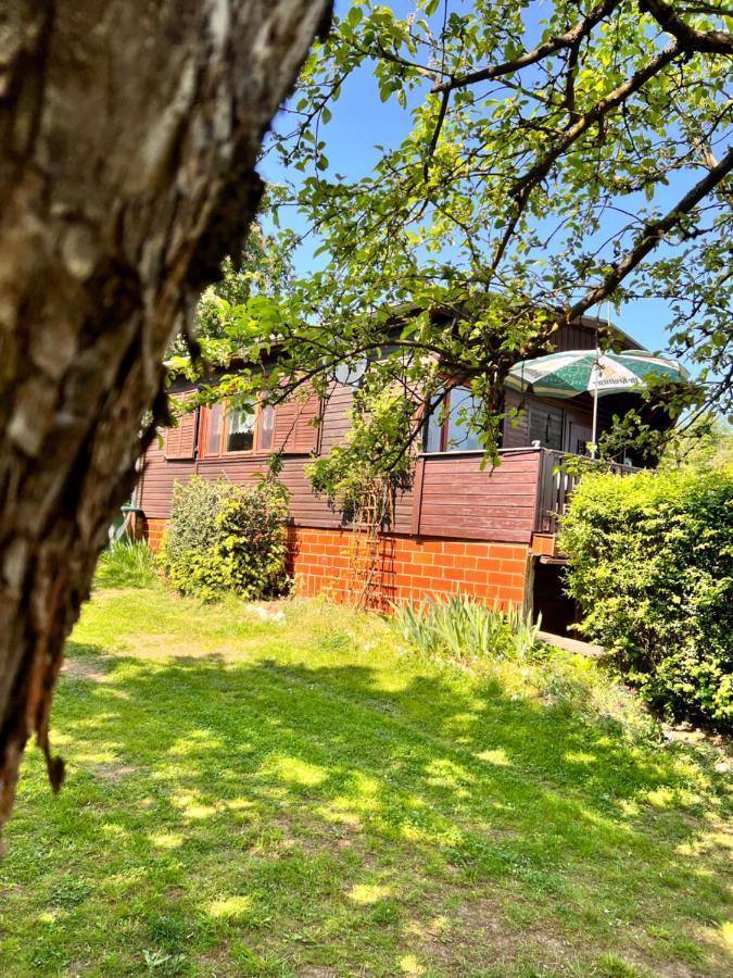Ferienhaus Zittertal Neustadt Harz Haus I Villa Harztor Esterno foto