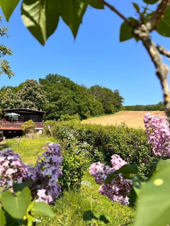 Ferienhaus Zittertal Neustadt Harz Haus I Villa Harztor Esterno foto
